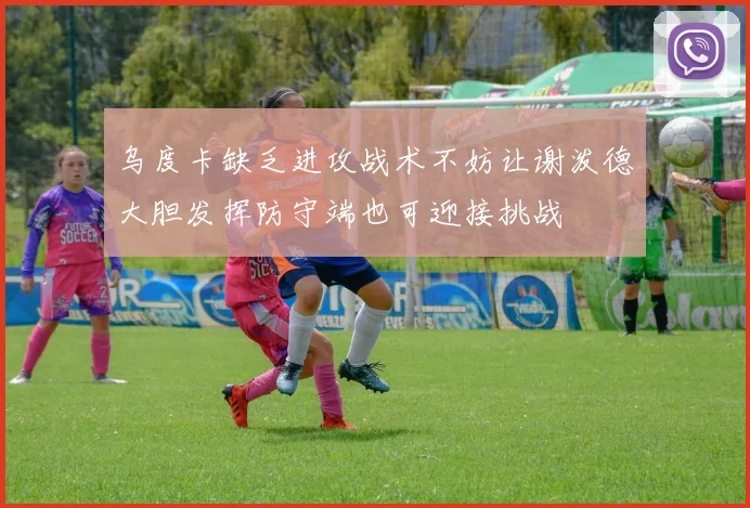 乌度卡缺乏进攻战术不妨让谢泼德大胆发挥防守端也可迎接挑战