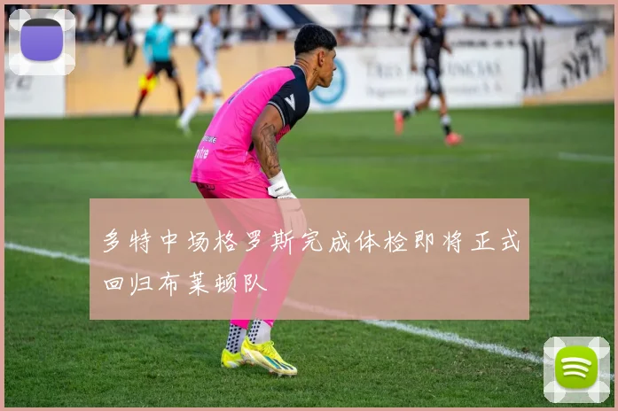 多特中场格罗斯完成体检即将正式回归布莱顿队